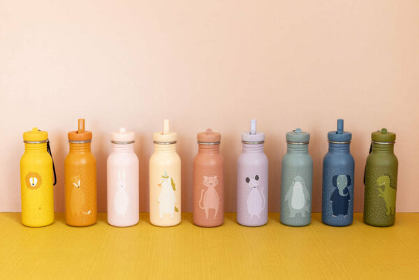 Gourde 500ml - Mr. Shark
