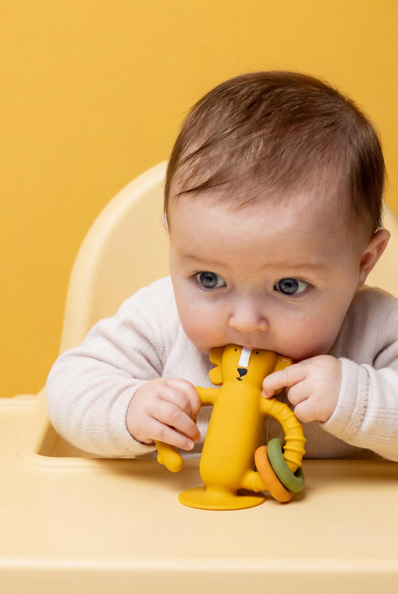 Jouet sensoriel en silicone avec ventouse - Mr. Lion – Image 4