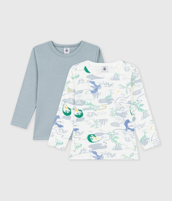 2 TEE SHIRTS ML