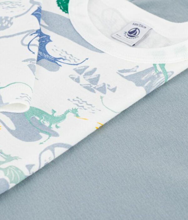 Lot de tee-shirts enfant en coton manches longues imprimé dragons