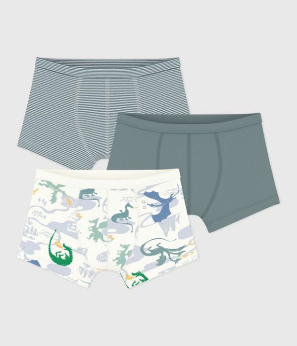 Lot de boxers ceinture colletée enfant en coton imprimé dragons