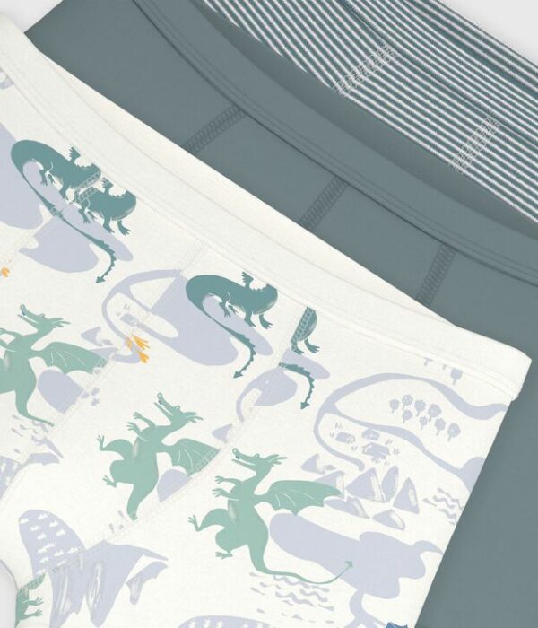 Lot de boxers ceinture colletée enfant en coton imprimé dragons