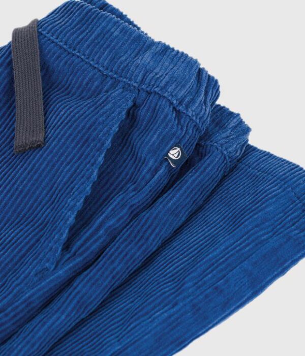 Pantalon droit en velours